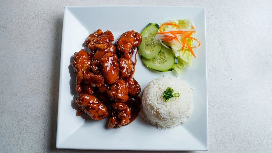 C11 - Sweet & Sour Chicken Rice